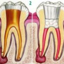 동구이편한치과의원 이미지