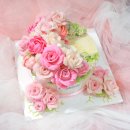 롤리앤폴리 이미지