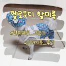 멜로우디 | 멜로우디 금촌댁 할미룩 할매 감성 강아지옷 내돈내산 후기