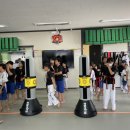 지음태권도 이미지