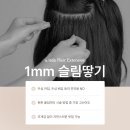 한국붙임머리증모술협회 | 항암붙임머리를 위해 프랑스에서 한국까지! 유잇다 강남점 후기