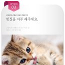 해운대동물메디컬센터 이미지