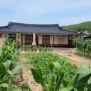 외할머니민박 이미지