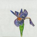 자연+인간+우연 이미지