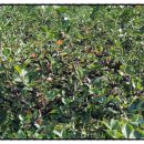 귀순농장 이미지