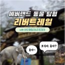 강산농장 | 주는 동물 지식! 알고 보면 더 재밌는 에버랜드 리버트레일 예약 후기_판다월드, 주토피아에서 만난 동물들