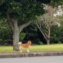 성산국민체육센터 이미지