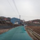 고향마늘