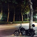 [재업]steed600 판매합니다.-판매보류- 이미지