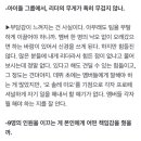 빈어스 보면서 갑자기 생각나서 이미지