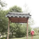 뒤밭