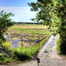 순천만 어싱길 맨발 걷기대회 이미지