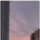 현대공인중개사 이미지