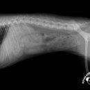 부산종합동물병원 이미지