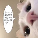 팔달대교 야경 | 2. 곰신일기🧸 #부산여행