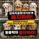dog's 애견샵 펫노트