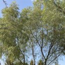 대화레포츠공원 이미지