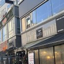 마곡 카페 가토 내돈내산 솔직후기! 테라스, 카공