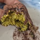 을-100 | 두쫀쿠(욘두베)내돈내산 100%찐 후기글 fact=두바이 스타일이래