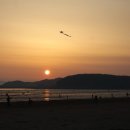 몽산포파인 이미지