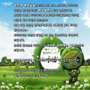 윤선생영어교실 이미지