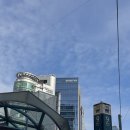 강남 샤브샤브 데이트식사 추천_샤브지오 강남역점_편백찜부터 월남쌈 후식까지 풀코스!