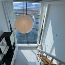 마레모어 이미지