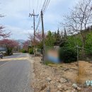 금싸라기공인중개사사무소 | 경북 칠곡군 가산면 토지 매매 — 여기는 조용한 금싸라기 땅입니다