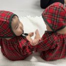 브레드댕댕 이미지