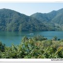 마그실농원 이미지