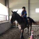 임자남초등학교 이미지