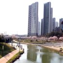 한류월드로 이미지