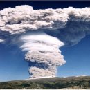 (사)향기 이미지