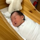 운정와이즈병원 | 파주뱀띠맘 산후조리원 2주 이용솔직 후기 (+운정와이즈병원 산후조리원)