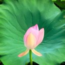 부산명상, 일상이 기쁨이고 행복이네요&lt;찐 후기&gt;
