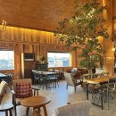 이화로 | 평택 죽백동 두쫀쿠 카페 이화로256 두바이쫀득쿠키 내돈내산 솔직 후기