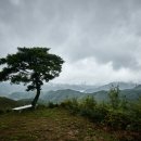 조계산다원