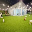 수원-1497 이미지