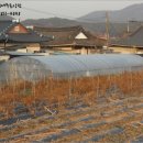 샛골축산 네이버블로그
