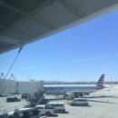 꿀돼지집 이미지