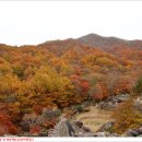 하동 이미지