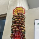 강남-116 | [공지] [서울] 청담까츠 강남구청역점 후기/ 새우튀김/ 생선가스/ 김쏘순