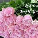마음은 소녀 이미지