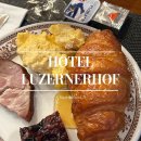 루호텔 - 중구 장충단로 229-5 | 🇨🇭 스위스 루체르너 호프 호텔 조식 후기