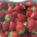 태자농장 이미지