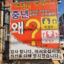 호박성인관광나이트 이미지