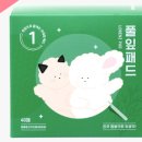 풀잎환경