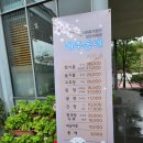 사회복지법인 성모자애원메주동네