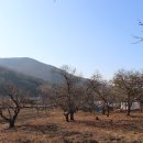 강화버스터미널 이미지