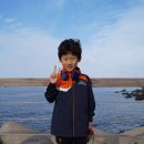 2013년 서귀포 아랏길 5km 올레횡단 바다수영 - 이모저모 이미지